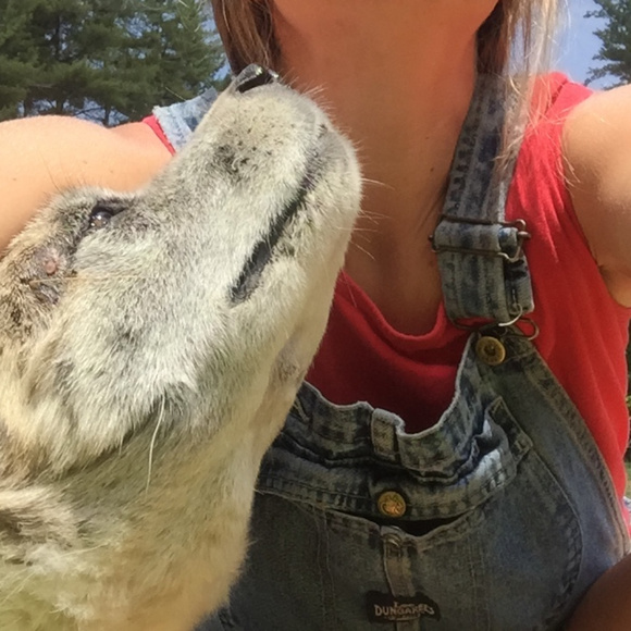 Hi please read 👩🏼‍🌾💕🌻 - Picture 2 of 7